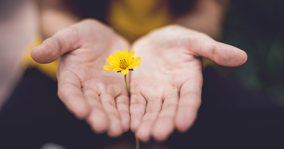 girl offers yellow flower to viewer