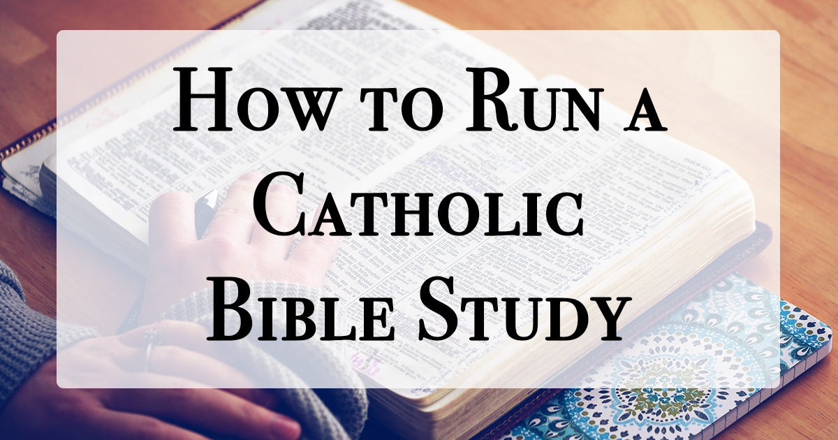 person reading a bible with text, How to Run a Catholic Bible Study