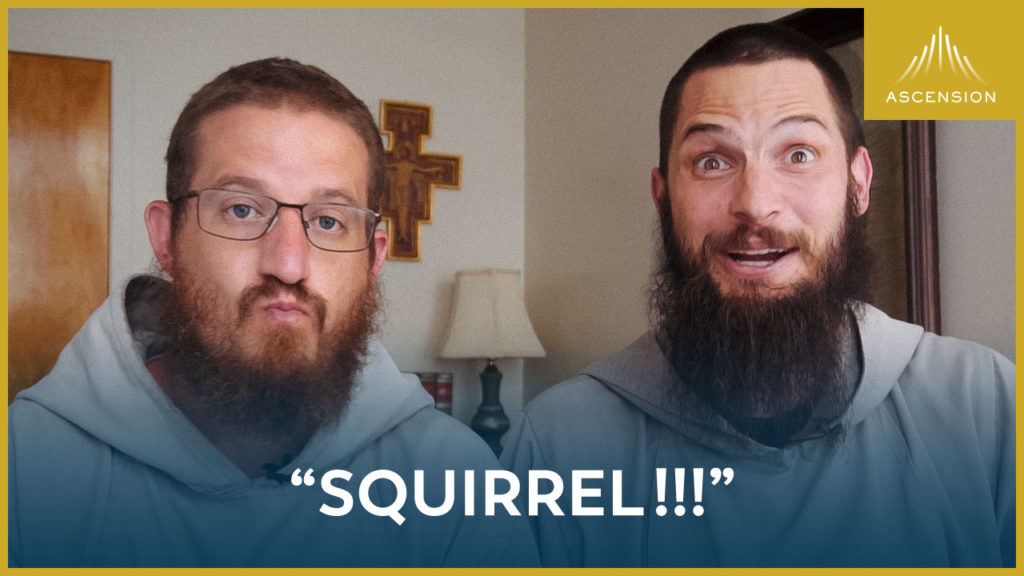 "Squirrel!"